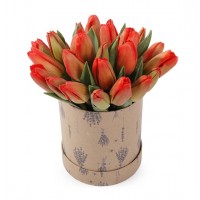Коробка из 25 красных тюльпанов